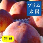 山梨高級プラム・太陽すもも 11～12玉箱  