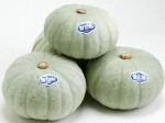 北海道産 白い かぼちゃ 「雪化粧」10 kg （3玉～6玉）