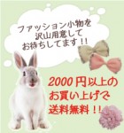 2000円以上送料無料