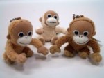 ベイビィココ～BABY CoCo　入荷！！