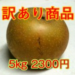 訳あり商品 5kg入り