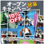 10%クーポンをゲット！！