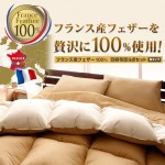 【送料無料】フランス産フェザー100%羽根布団8点セット　和タイプ