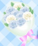 ホワイトデーキャンペーン！3月14日まで全商品のポイントが通常の3倍に！お得なチャンスをお見逃しなく！