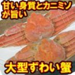 ずわい蟹姿(ボイル)　約800g×2尾【オープン記念特売品】冷凍便でお届け