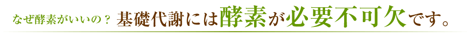 基礎代謝には酵素が必要不可欠です。