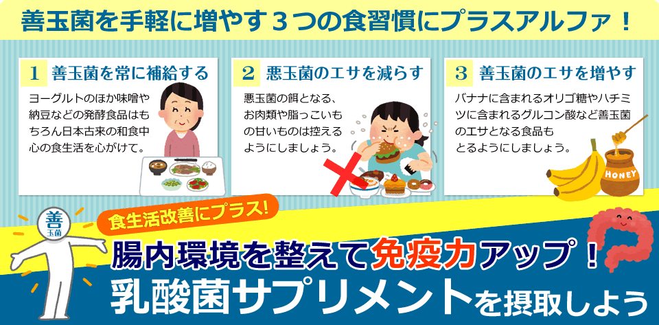 善玉菌を手軽に増やす３つの食習慣にプラスアルファ！