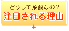 葉酸が注目される理由